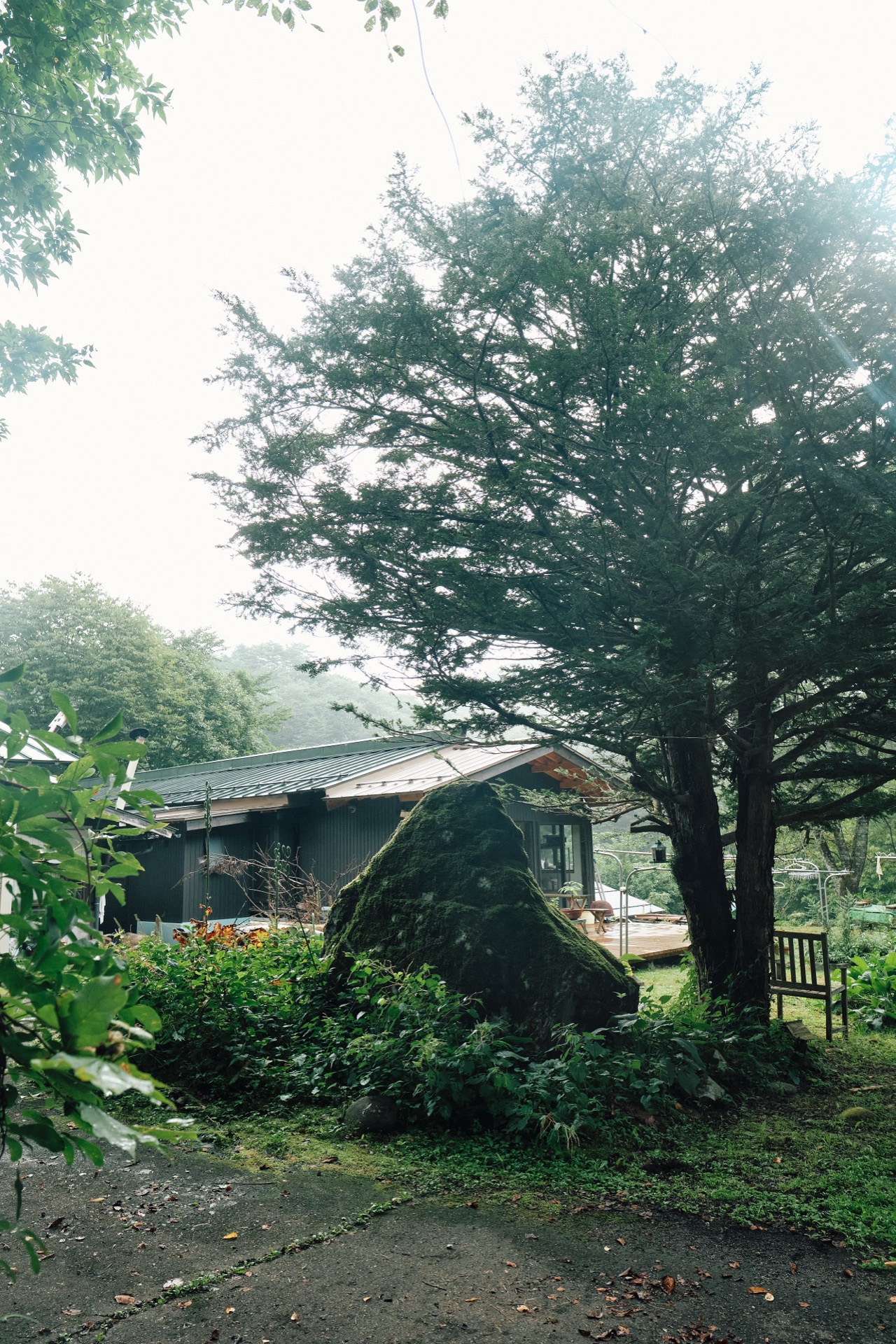 Purple Farm