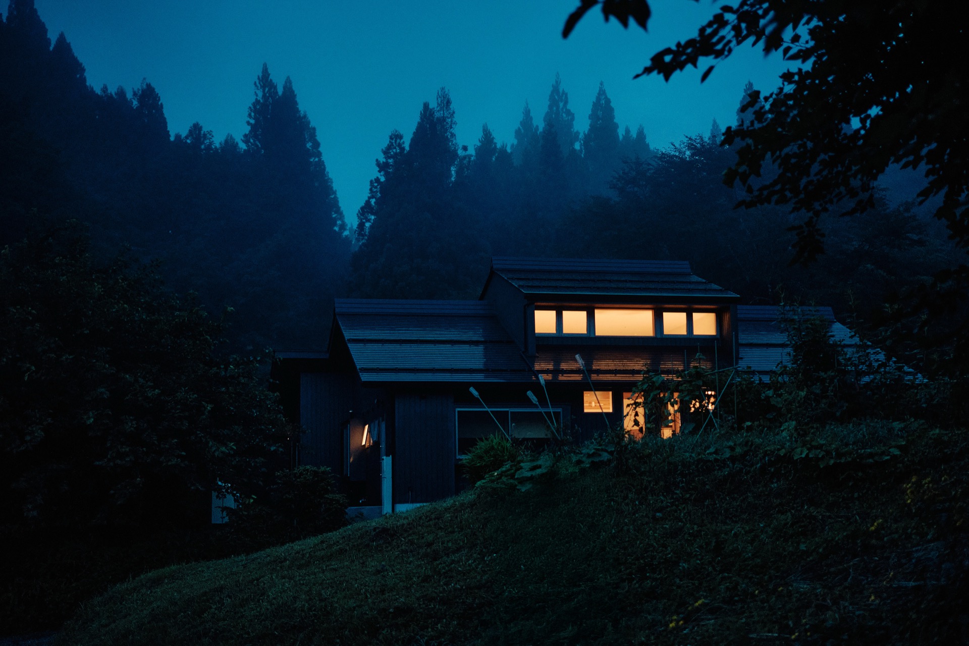 Forest
